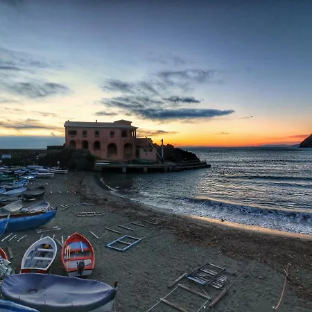 La Pulce Salata *