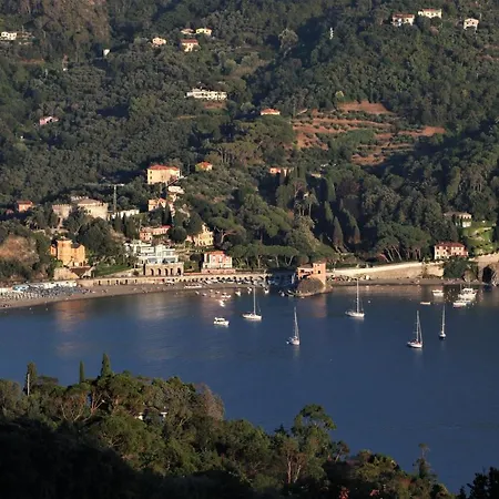 La Pulce Salata